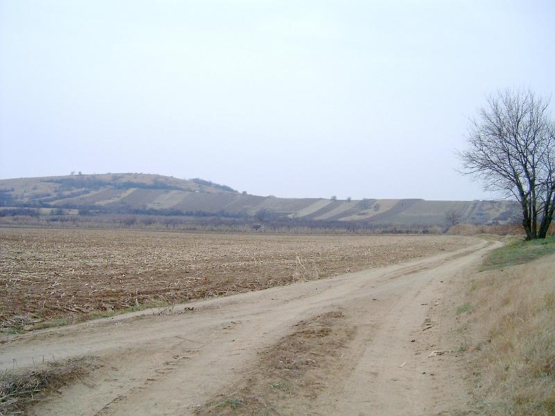 20111210 034.jpg